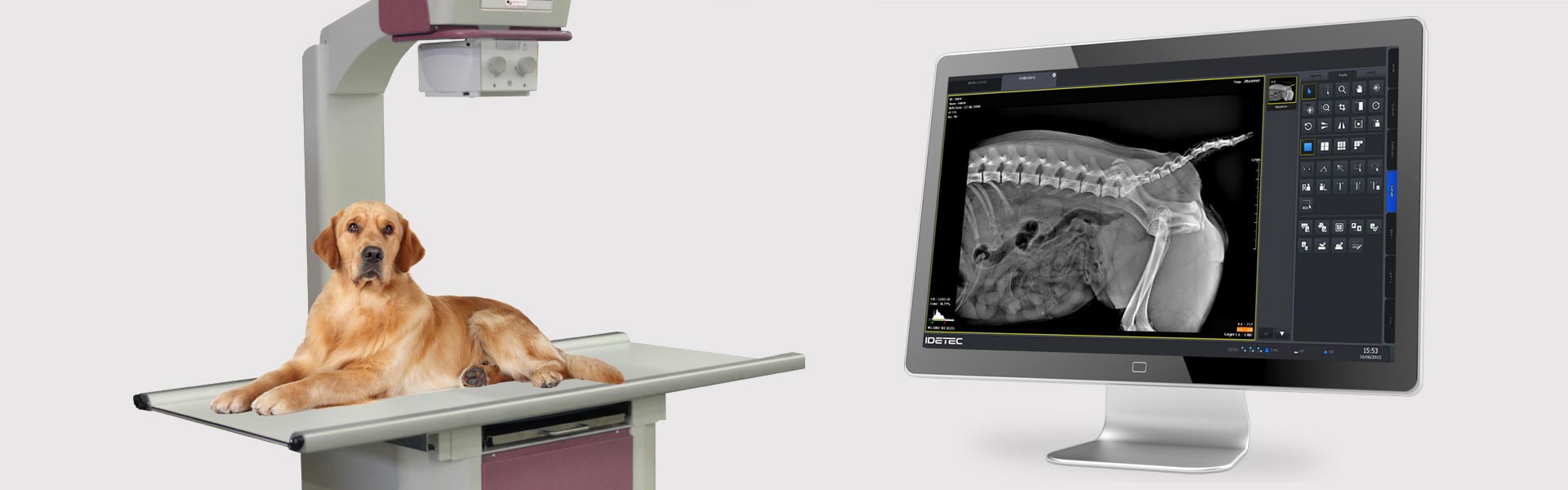 Idevet Digital Veterinarian Imaging