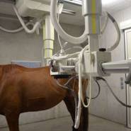 03 Suspension plafonniere