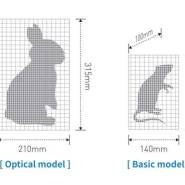 osteo densitometre DEXA vet8